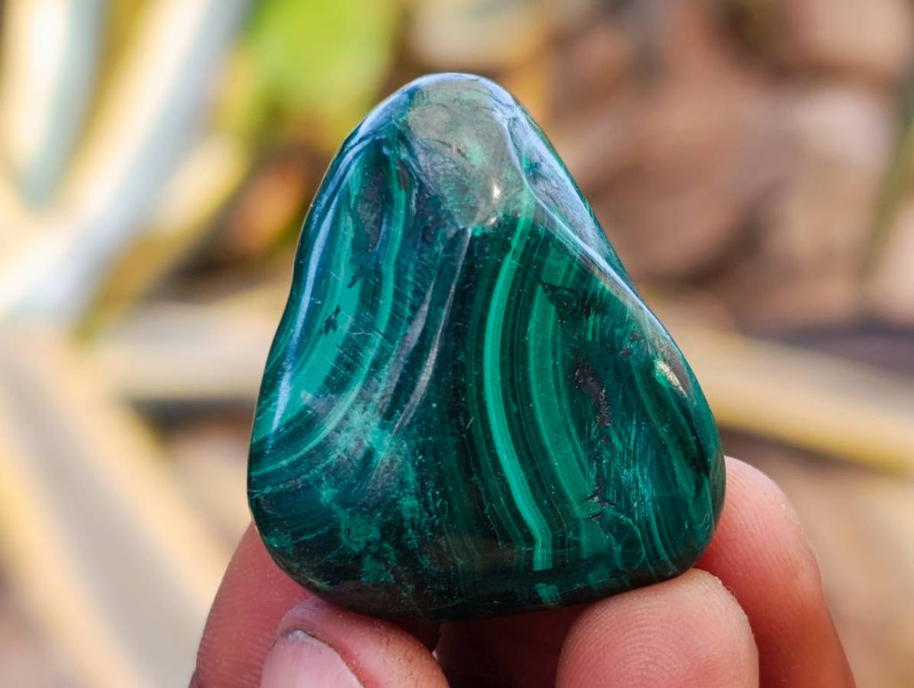 Polished Flower Banded Malachite Free Forms x 35 From Congo - Toprock Gemstones and Minerals 