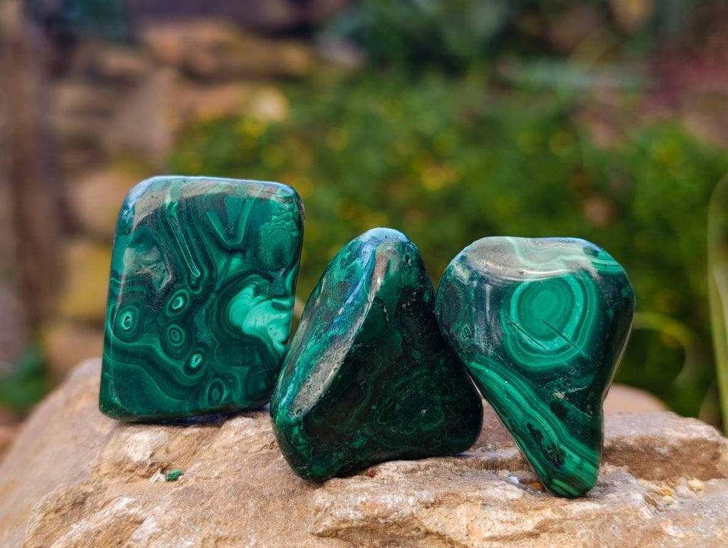 Polished Flower Banded Malachite Free Forms x 35 From Congo - Toprock Gemstones and Minerals 