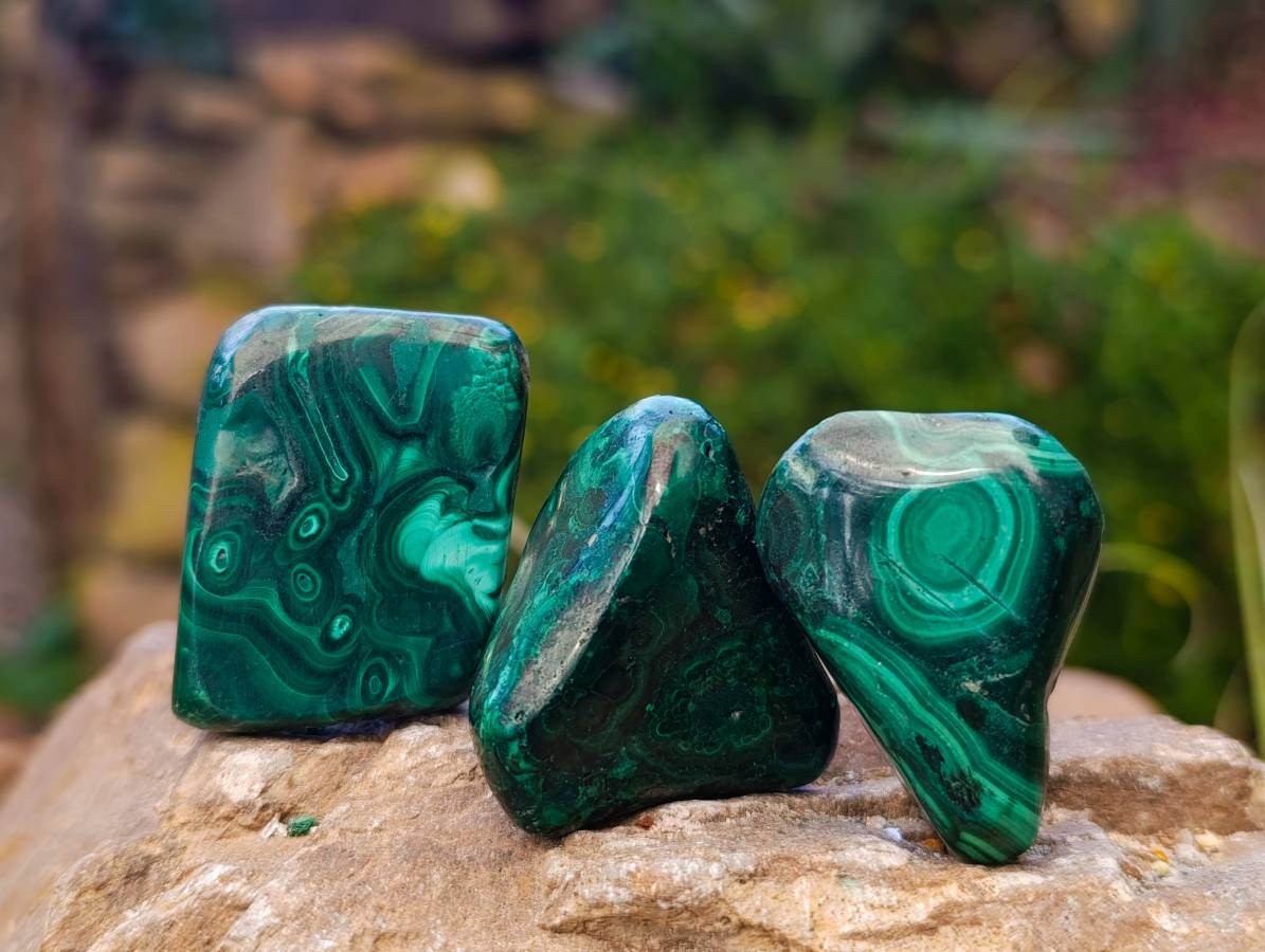 Polished Flower Banded Malachite Free Forms x 35 From Congo - Toprock Gemstones and Minerals 
