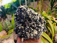 Natural Schorl Black Tourmaline Matrix Specimen x 1 From Namibia