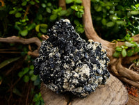 Natural Schorl Black Tourmaline Matrix Specimen x 1 From Namibia