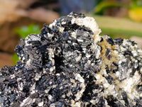 Natural Schorl Black Tourmaline Matrix Specimen x 1 From Namibia