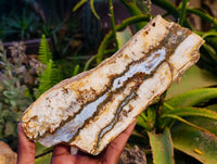 Polished On One Side 'Crazy' Blue Lace Agate x 3 From Namibia