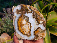 Polished On One Side 'Crazy' Blue Lace Agate x 3 From Namibia