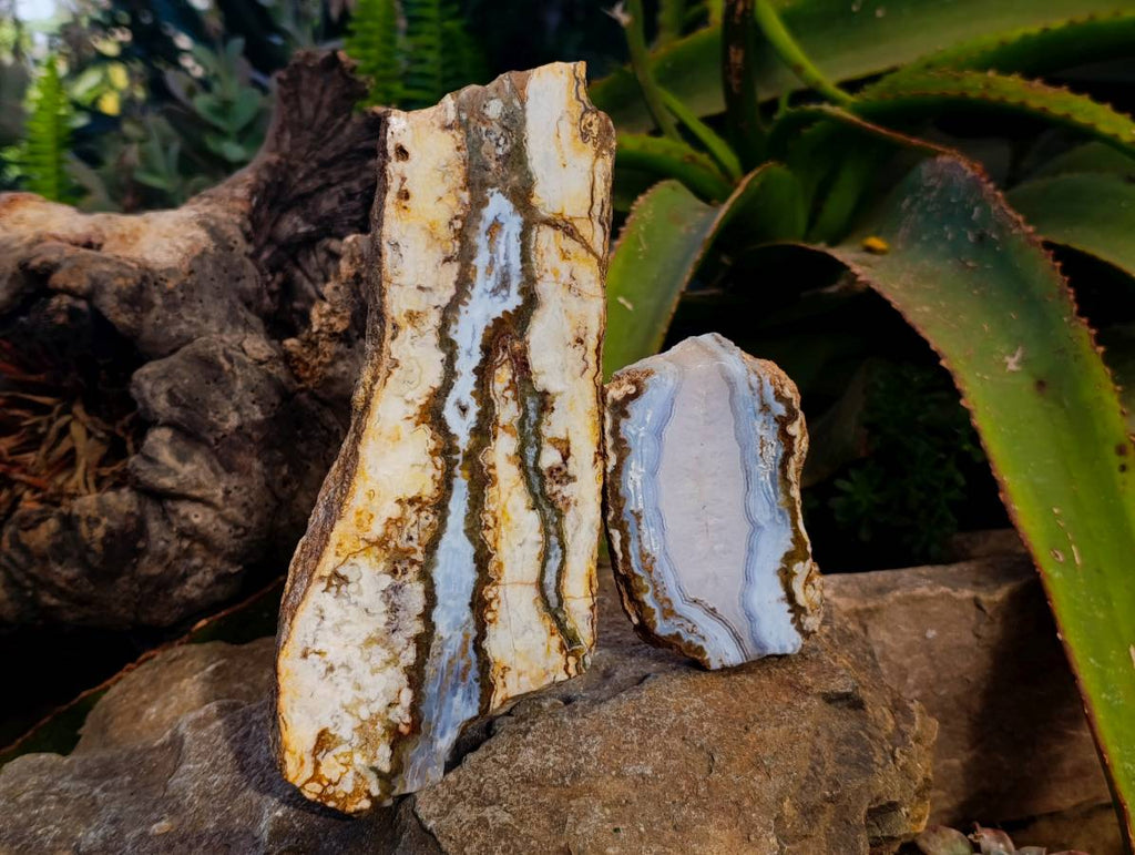 Polished On One Side 'Crazy' Blue Lace Agate x 3 From Namibia - Toprock Gemstones and Minerals 