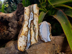 Polished On One Side 'Crazy' Blue Lace Agate x 3 From Namibia - Toprock Gemstones and Minerals 