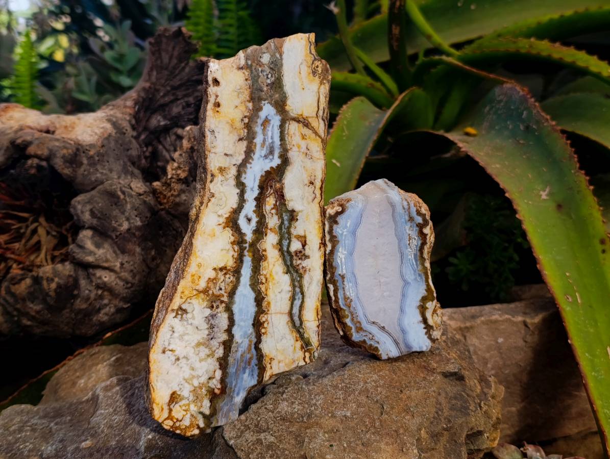 Polished On One Side 'Crazy' Blue Lace Agate x 3 From Namibia - Toprock Gemstones and Minerals 