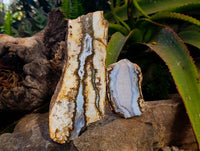 Polished On One Side 'Crazy' Blue Lace Agate x 3 From Namibia