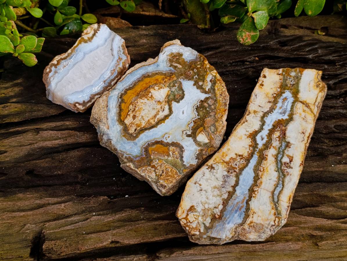 Polished On One Side 'Crazy' Blue Lace Agate x 3 From Namibia - Toprock Gemstones and Minerals 