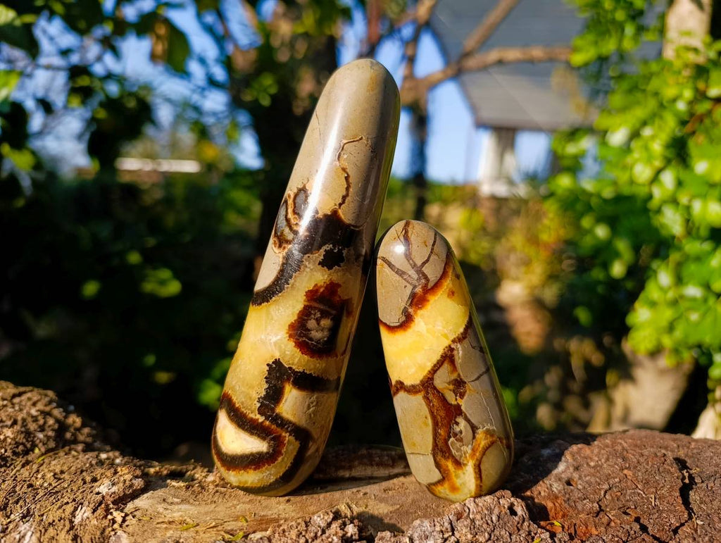 Polished Septerye Massage Wands x 6 From Madagascar - Toprock Gemstones and Minerals 