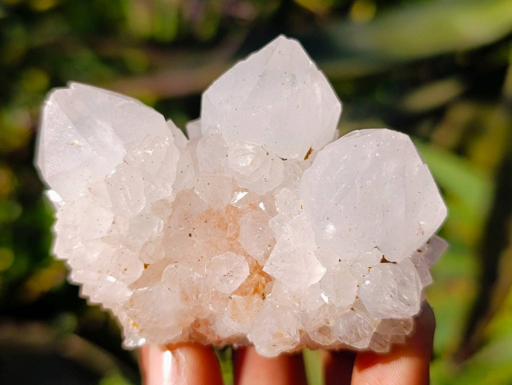 Natural Spirit Quartz Clusters x 12 From South Africa - Toprock Gemstones and Minerals 