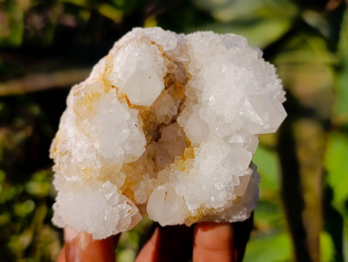 Natural Spirit Quartz Clusters x 12 From South Africa - Toprock Gemstones and Minerals 