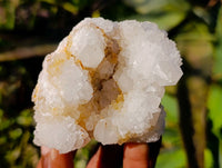 Natural Spirit Quartz Clusters x 12 From South Africa