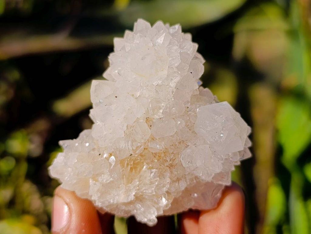 Natural Spirit Quartz Clusters x 12 From South Africa - Toprock Gemstones and Minerals 