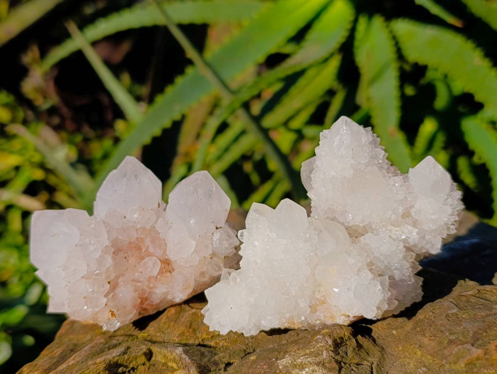 Natural Spirit Quartz Clusters x 12 From South Africa - Toprock Gemstones and Minerals 