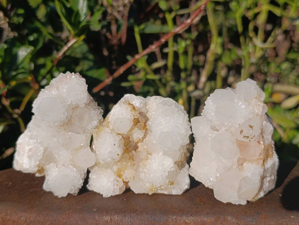 Natural Spirit Quartz Clusters x 12 From South Africa - Toprock Gemstones and Minerals 