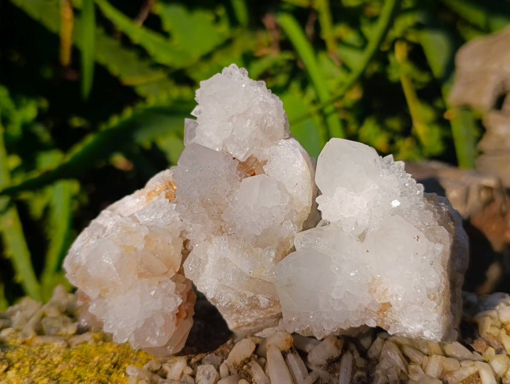 Natural Spirit Quartz Clusters x 12 From South Africa - Toprock Gemstones and Minerals 
