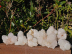 Natural Spirit Quartz Clusters x 12 From South Africa - Toprock Gemstones and Minerals 