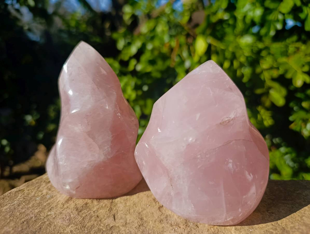Polished Rose Quartz Flames x 2 From Madagascar - Toprock Gemstones and Minerals 