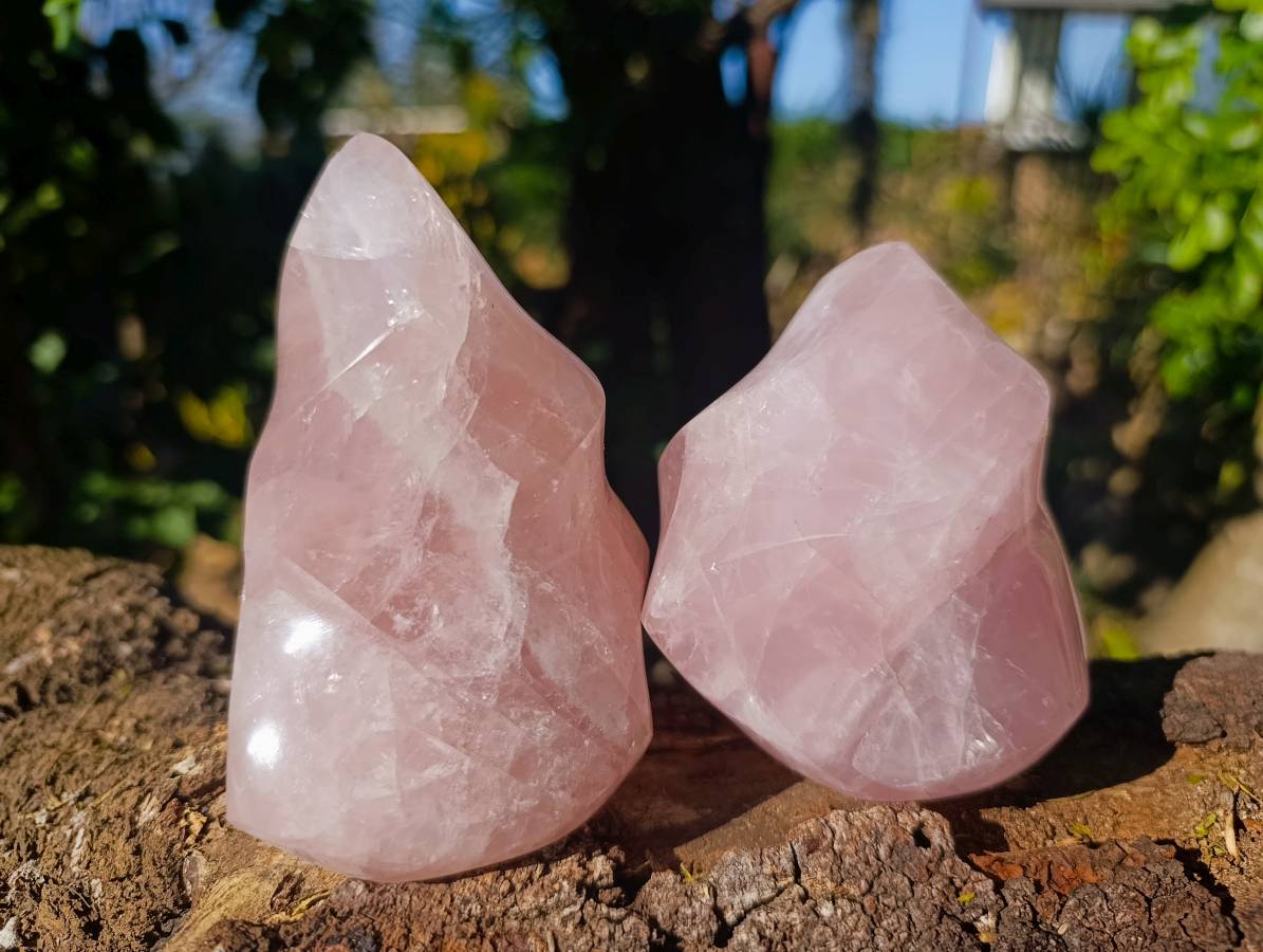 Polished Rose Quartz Flames x 2 From Madagascar - Toprock Gemstones and Minerals 