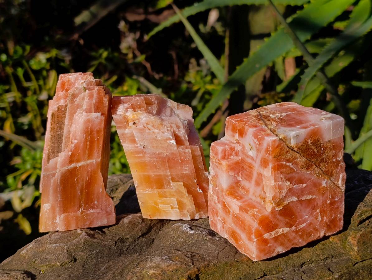 Natural Sunset Orange Calcite Specimens x 12 From Spitzkop, Namibia - Toprock Gemstones and Minerals 