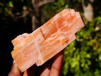 Natural Sunset Orange Calcite Specimens x 12 From Spitzkop, Namibia - Toprock Gemstones and Minerals 
