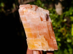 Natural Sunset Orange Calcite Specimens x 12 From Spitzkop, Namibia - Toprock Gemstones and Minerals 