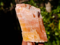 Natural Sunset Orange Calcite Specimens x 12 From Spitzkop, Namibia