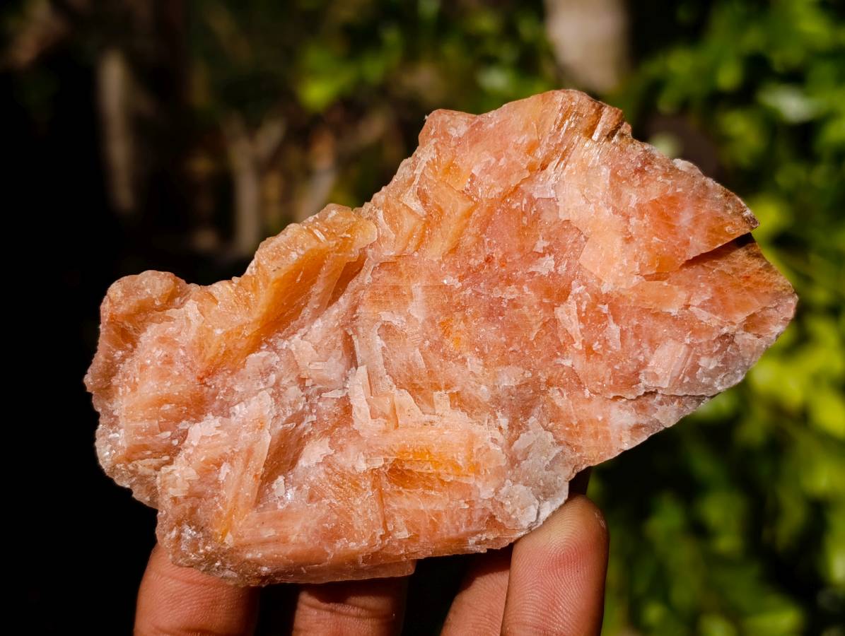 Natural Sunset Orange Calcite Specimens x 12 From Spitzkop, Namibia - Toprock Gemstones and Minerals 