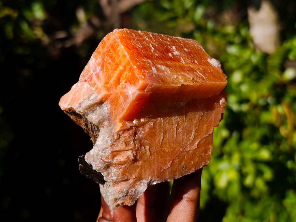 Natural Sunset Orange Calcite Specimens x 12 From Spitzkop, Namibia - Toprock Gemstones and Minerals 