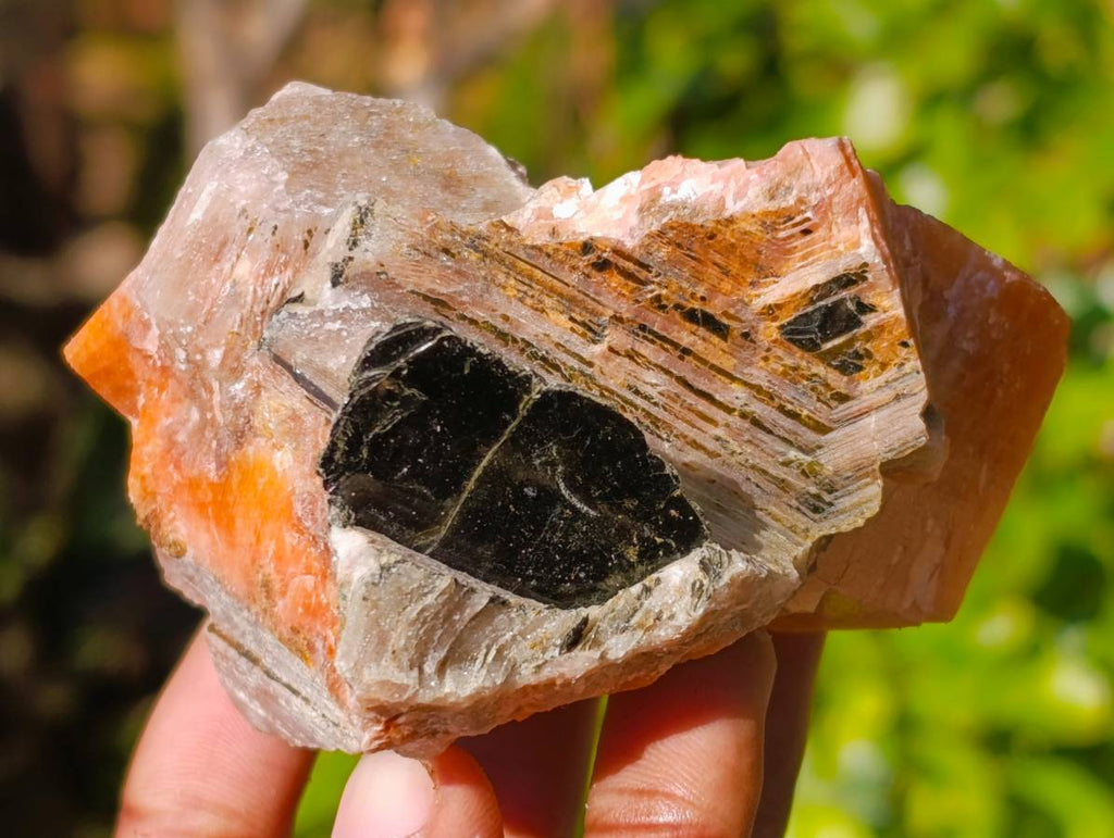 Natural Sunset Orange Calcite Specimens x 12 From Spitzkop, Namibia - Toprock Gemstones and Minerals 