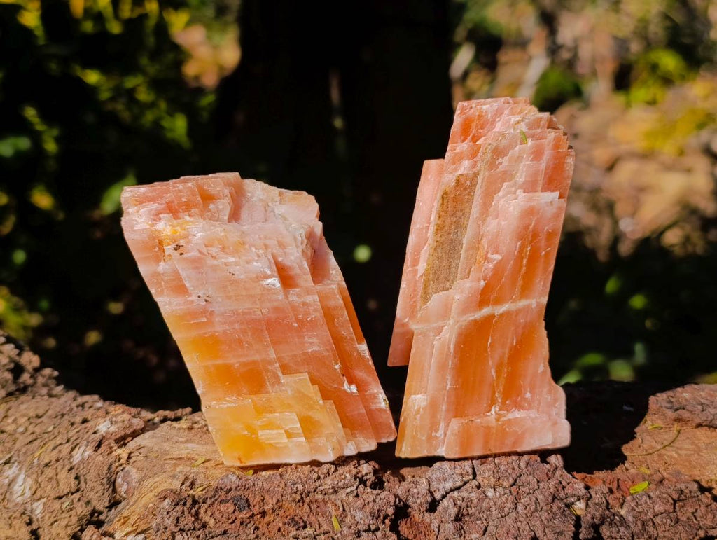 Natural Sunset Orange Calcite Specimens x 12 From Spitzkop, Namibia - Toprock Gemstones and Minerals 