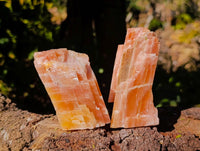 Natural Sunset Orange Calcite Specimens x 12 From Spitzkop, Namibia