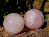 Polished Rose Quartz Spheres x 4 From Madagascar