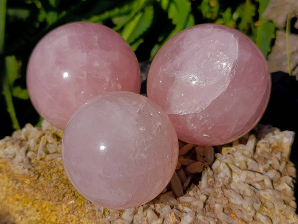 Polished Rose Quartz Spheres x 4 From Madagascar
