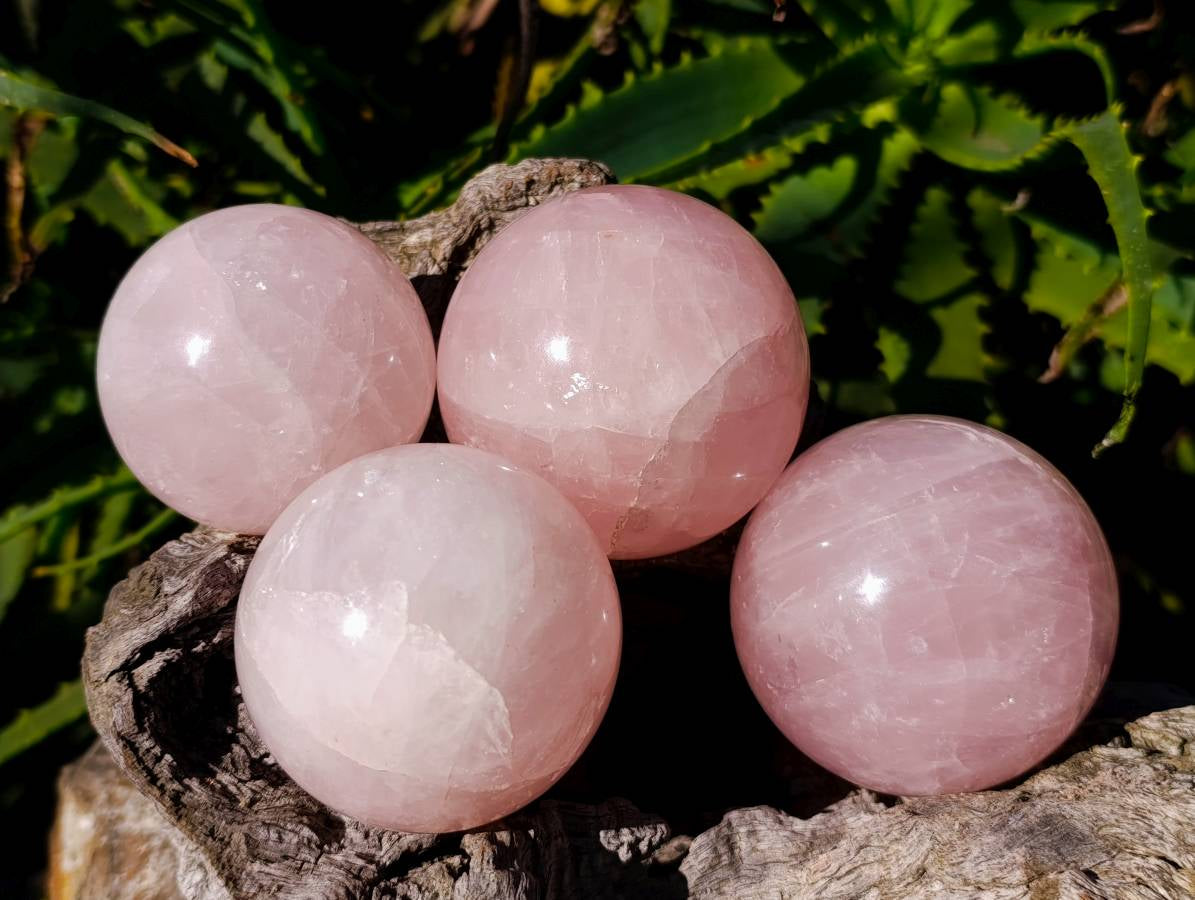 Polished Rose Quartz Spheres x 4 From Madagascar - Toprock Gemstones and Minerals 