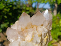 Natural Phantom Smokey Quartz Clusters x 2 From Luena, Congo
