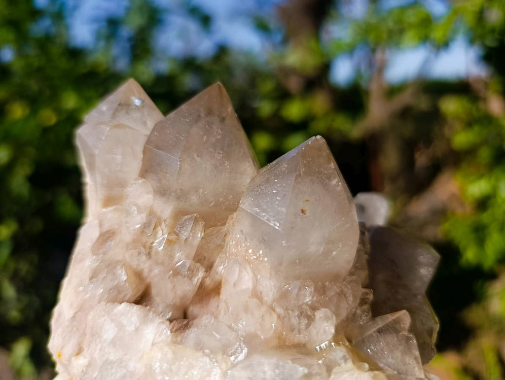 Natural Phantom Smokey Quartz Clusters x 2 From Luena, Congo - Toprock Gemstones and Minerals 
