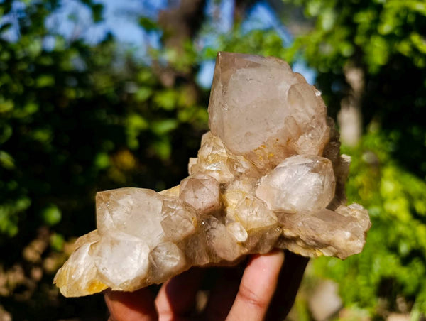 Natural Phantom Smokey Quartz Clusters x 2 From Luena, Congo