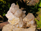 Natural Phantom Smokey Quartz Clusters x 2 From Luena, Congo - Toprock Gemstones and Minerals 