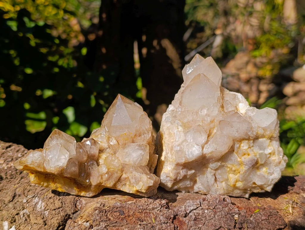 Natural Phantom Smokey Quartz Clusters x 2 From Luena, Congo - Toprock Gemstones and Minerals 