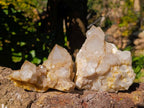 Natural Phantom Smokey Quartz Clusters x 2 From Luena, Congo - Toprock Gemstones and Minerals 