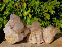 Natural Phantom Smokey Quartz Clusters x 2 From Luena, Congo