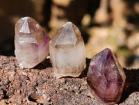 Natural Window Amethyst Crystals x 35 From Chiredzi, Zimbabwe