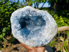 Natural Celestite Geode Specimen x 1 From Sakoany, Madagascar - Toprock Gemstones and Minerals 