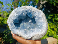 Natural Celestite Geode Specimen x 1 From Sakoany, Madagascar