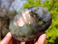 Polished Labradorite Palm Stones x 9 From Tulear, Madagascar - Toprock Gemstones and Minerals 