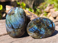 Polished Labradorite Palm Stones x 9 From Tulear, Madagascar - Toprock Gemstones and Minerals 