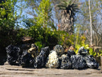 Natural Schorl Black Tourmaline Specimens x 12 From Namibia - Toprock Gemstones and Minerals 