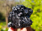 Natural Schorl Black Tourmaline Specimens x 12 From Namibia - Toprock Gemstones and Minerals 